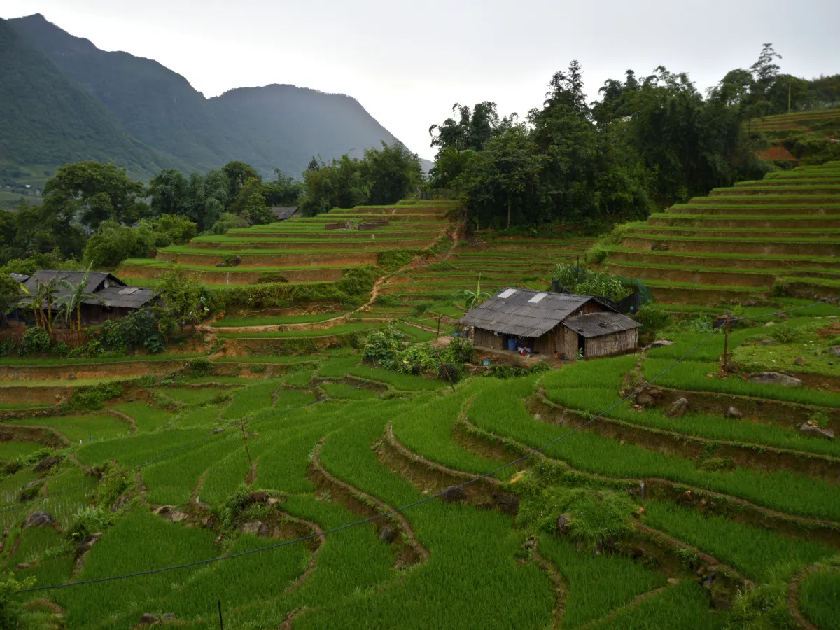 The Ultimate Guide to Tour Vélo Sapa: Pedaling Through the Roof of Indochina